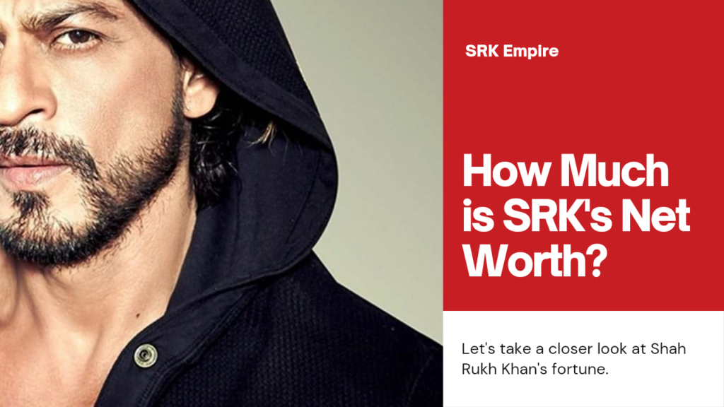 Srk net worth